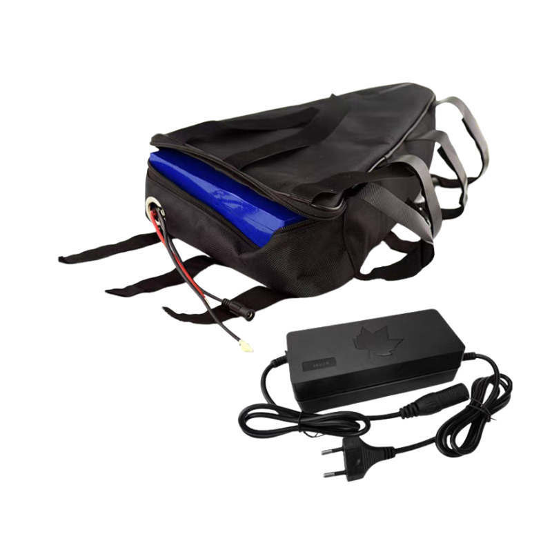 Batterie de vélo électrique tr - Ebike Battery 52V 20Ah Triangle Pack avis et prix